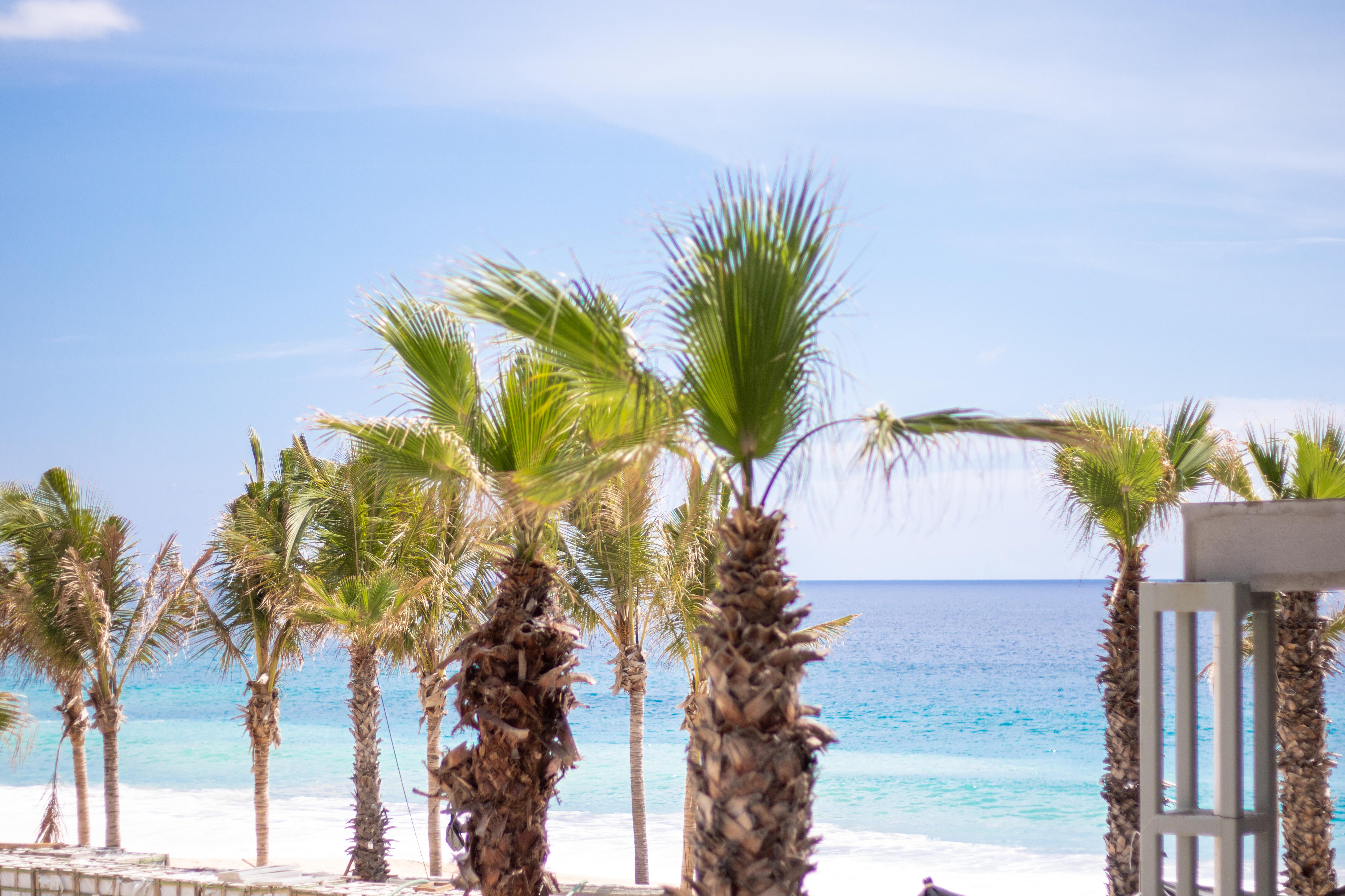 Garza Blanca Resort&Spa Los Cabos Cabo San Lucas Exterior foto